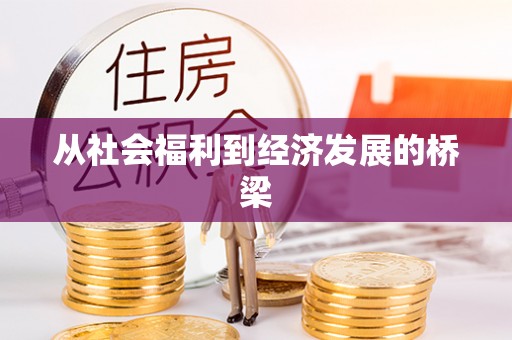 太保从社会福利到经济发展的桥梁