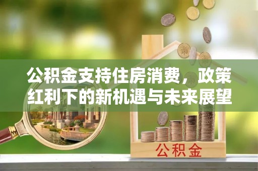太保公积金支持住房消费，政策红利下的新机遇与未来展望