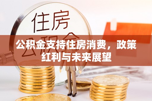 太保公积金支持住房消费，政策红利与未来展望