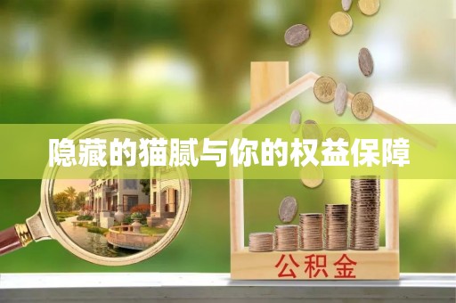 太保隐藏的猫腻与你的权益保障