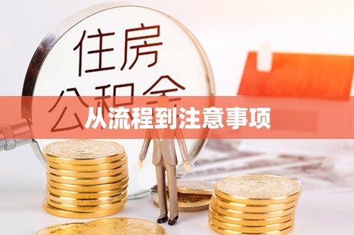 太保从流程到注意事项