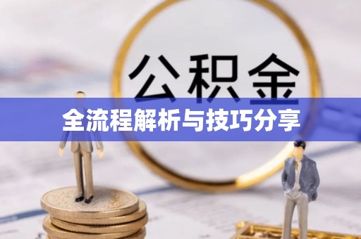 太保全流程解析与技巧分享